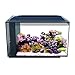 Fluval 10531A1 SEA EVO XII Aquarium Kit, 13.5 galthumb 4