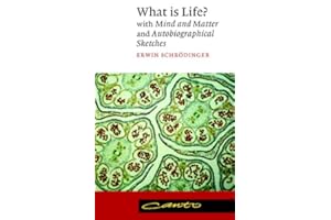 What is Life? (Canto)