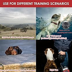 Lalolee Dog Training Collar, 2 Receiver IPX7