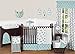Sweet Jojo Designs Turquoise Blue and Gray Earth and Sky Birds Nature Girl or Boy Baby Bedding 11 Piece Crib Set without bumper