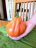 Red Pear Abruzzese Tomato-Giant Red Pear Heirloom