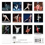 Image de Royal Ballet wall calendar 2017 (Art calendar)
