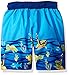 Wippette Boys' Turtle Rash Guard Set