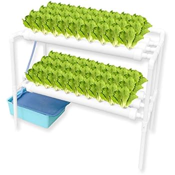 Amazon Com Weplant Pvc Pipe Hydroponic System 54 Plant Holes