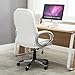 Belleze High-Back PU Leather Executive Office Ergonomic Computer Desk Chair with Padded Arms Chrome Silver, Adjustable Height & 360 Swivel - Stella (White)