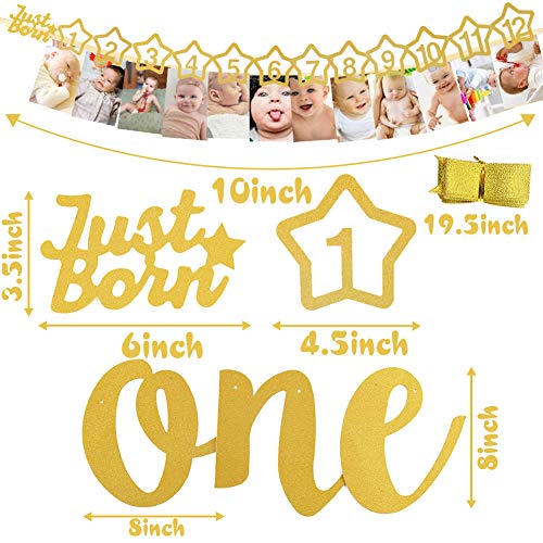 First Birthday Photo Banner First Birthday Decoration Great for One Year Old Celebration Party Supplies