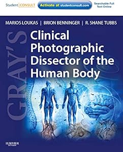 kindle best category lists