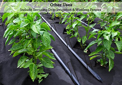 Sandbaggy 500-Count Landscape Staples ~ SOD Staples, Garden Stakes, Square Pins