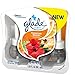 Glade PlugIns Refills Air Freshener, Scented and Essential Oils for Home and Bathroom, Hawaiian Breeze, 0.67 Fl Oz (Pack of 5)