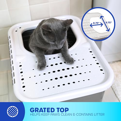 Petmate Enclosed Cat Litter Boxes Top Entry Cat Litter Box Enclosure with  Filter Lid, Made in USA - Main Image