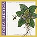 Posta Medica: Healing Herbs Old and New - Boxed Postcard Set by 