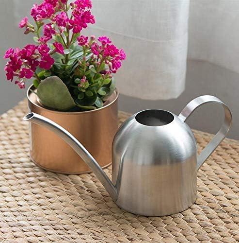 Cratone Water Can 500 ML Stainless Steel Water Bottle Long Mouth Watering Can for Garden House Plant Indoor Outdoor (Silver)