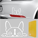 Boston Terrier Dog Peeking Car Sticker, 6 Inch Car Window Decal, Clear PET Decoration Sticker for Car, Truck, Bumper, Mirror, Laptop, Water Bottle (White)