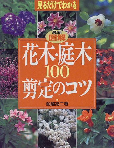 最新図解 花木 庭木100剪定のコツ 見るだけでわかる 見るだけでわかる Amazon Es Libros 最新図解 花木 庭木100剪定のコツ 見るだけでわかる 見るだけでわかる Amazon Es Libros