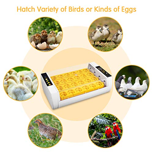 Egg Incubator for Hatching Chicks, 24 Eggs Automatic Egg Incubator