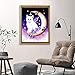 DIY 5D Diamond Painting Kits for Adults Full Drill Embroidery Paintings Rhinestone Pasted DIY Painting Cross Stitch Arts Crafts for Home Wall Decor 30x40cm/11.8×15.7Inches (Moon Cat)