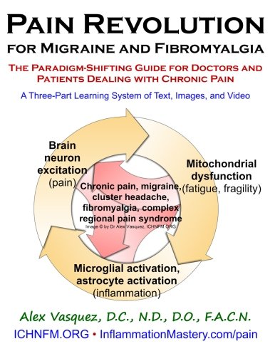 Pain Revolution for Migraine and Fibromyalgia: The Paradigm-Shifting Guide for Doctors and Patients Pain Revolution for Migraine and Fibromyalgia: The Paradigm-Shifting Guide for Doctors and Patients