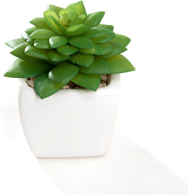 Nattol Small Artificial Succulent Plant Potted in White Ceramic Pots for Home Decor, Set of 4: Home & Kitchen