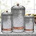 Antique Style Galvanized Metal Lidded Rustic Canister with Copper Band, Set of 3 Farmhouse Home Decor