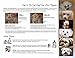 Eye Envy- Replenishment Bag of Eye Envy Pads for Dogs or Cats, 3 Pack