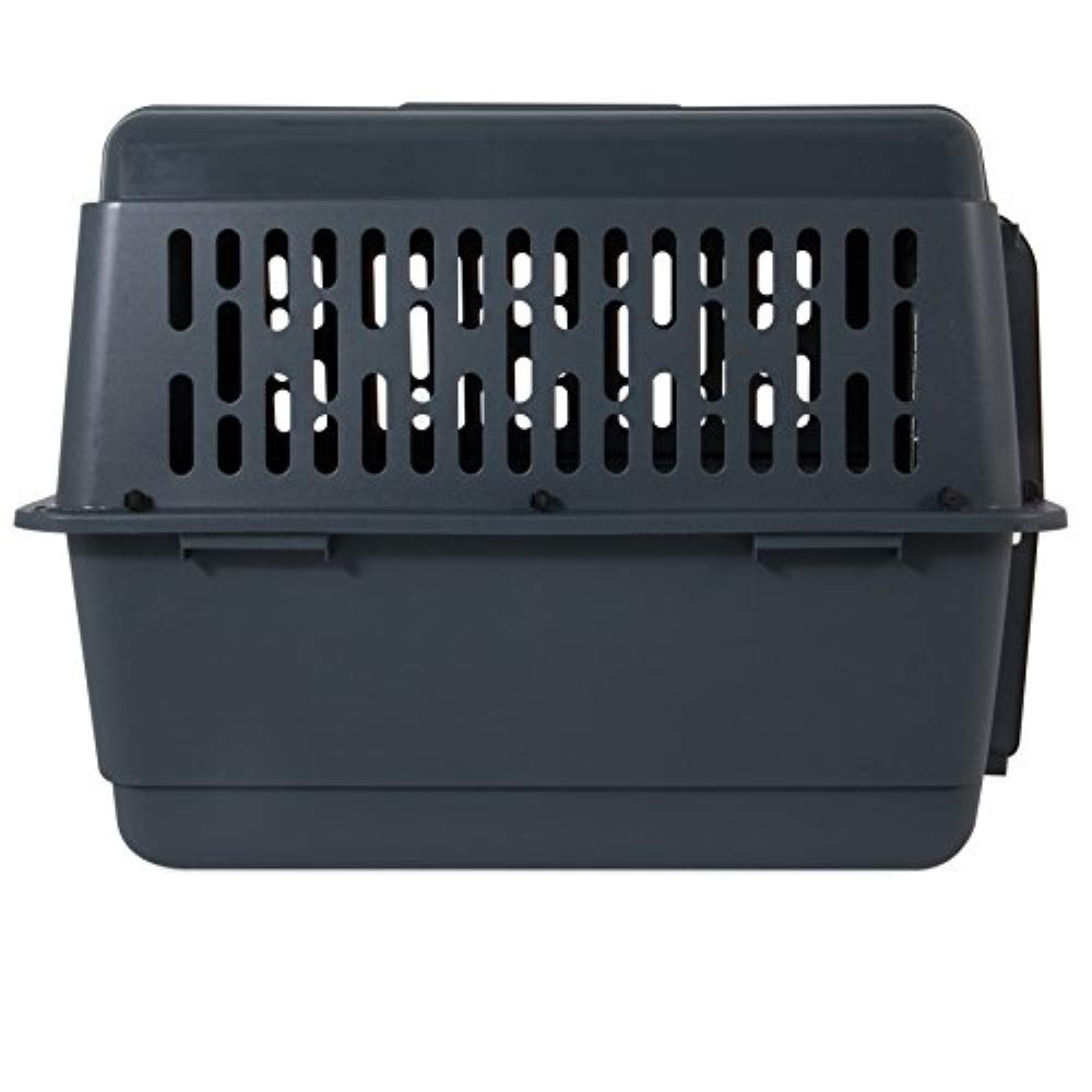 Aspen Pet Porter HeavyDuty Pet Carrier with Secure Lock, 9 Sizes, 13 Colors eBay