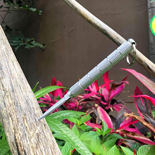 YESSQ Pocket Folding Knife - EDC and Tactical Pocket Knife Stainless Steel Blade with Glass Broker ( - //coolthings.us