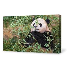 SIGNFORD Canvas Wall Art for Living Room,Bedroom Home...