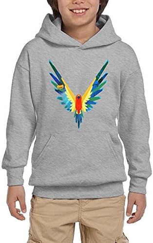 Youth Customized Hoodie Logan Paul 365 Fashion Parrot Sports Youth Sweater (M, Grey)