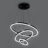 Viruhaka Modern LED Pendant Light, Black Circular