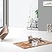 Vencer Cat/Small Dogs Slow Feeding Bowls,Raised Cat Food/Water Bowl (High-Capacity) Elevated Cat Dog Dish,Pet Bowls for Cats or Small Dogs,VCB-002