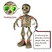 Sler Halloween Skeleton Decoration Dancing and Singing Indoor Animated Flashing Eyes for Halloween Decor Trick or Treat Event for Kids Haunted House Halloween Party Prop Decoration