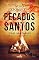Livro Pecados Santos (Afonso Catalão Livro 2)