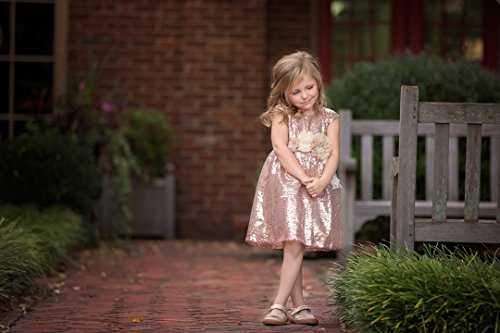 Rose Gold Sequin Flower Girl Dress Desertcart Seychelles