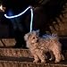 NiteyLeash - LED Glow in The Dark Pet Dog Leash (Blue)