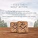 Blue Buffalo Wilderness Denali Biscuits High Protein Grain Free Dog Treats Salmon Venison & Halibut