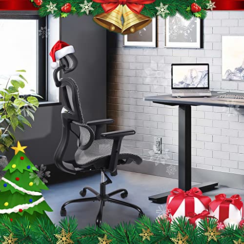 ErgoRo Ergonomic Office ChairRolling Desk Chair with 3D Adjustable