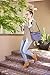 PackIt Freezable Carryall Lunch Bag, Sophie
