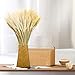 AQUEENLY Wheat Stalks, 50 PCS Natural Dry Wheat Decor for Christmas Wedding Home Office Decoration, 13.7 Inches