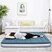 Air Mattress Queen Size Airbed,Deeplee Blow up bed Inflatable Mattress with Rechargeable Air Pump for Home,Camping,Guest Bed,Height 9 inch