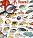 fishcardscom New! Hawaii Reef Fish and Invertebrate ID Set of 2 Identical Cards 6x9 Inches