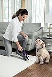 BISSELL Pet Stain Eraser Advanced Cordless Portable Handheld Spot and Carpet Cleaner, 2054