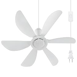 Roodike 22.5" Small Ceiling Fan for Outdooor