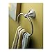 Dreamslink Round Collection Wall Mounted Towel Ring Brush Nickel
