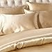 AiMay 3 Piece Satin Duvet Cover Set (1 Duvet Cover + 2 Pillowcases) Rich Silk Silky 100% Super Soft Microfiber Honeymoon Sexy Bedding Collection (Queen, Gold)