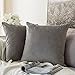 MIULEE Pack of 2 Velvet Soft Solid Decorative Square Throw Pillow Covers Set Cushion Case for Sofa Bedroom Car 16 x 16 Inch 40 x 40 Cm Grey