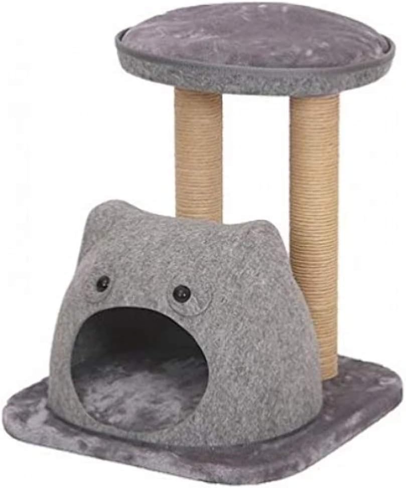 chow chow grey puppy