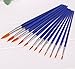 Ishua 12pcs Nylon Hair Watercolor Oil Painting Brush Set Artist Paintbrush with Blue Plastic Handle