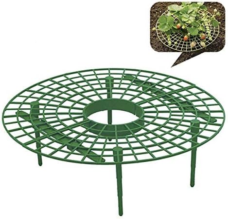 Strawberry Supports, Plant Support Stands with 4 Sturdy Legs for Keeping Fruit Elevated to Avoid Ground Rot, Mold and Dirt, 6 per Pack