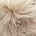 Fake Faux Fur Curly Alpaca Latte 58 Inch Wide Fabric by The Yard (F.E.®)
