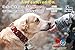 Glucosamine for Dogs - RevitaJoint - Maximum Strength Hip and Joint Supplement Treats for Small, Medium and Large Dogs, 65 Bacon Flavored Soft Chews